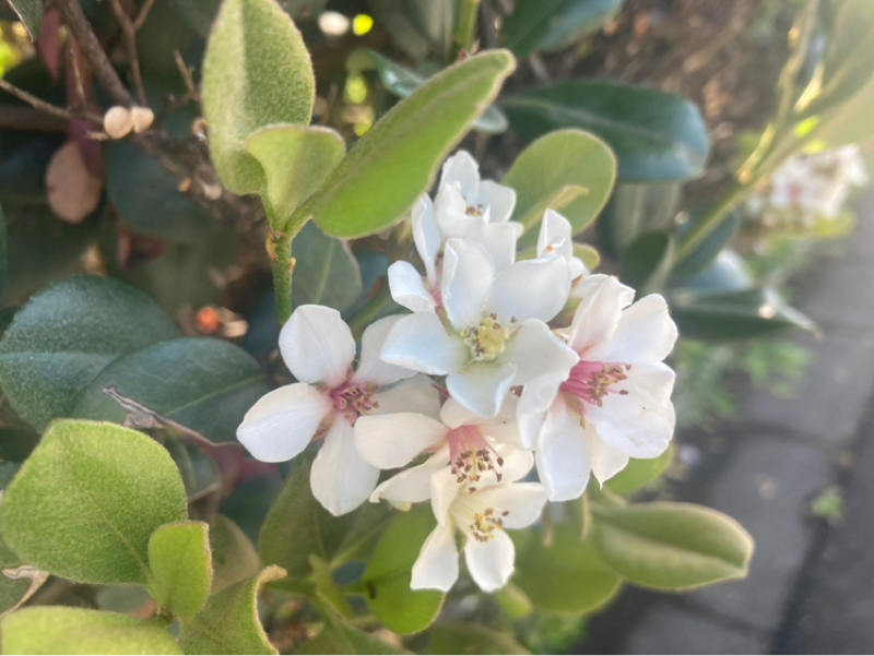 2026.4/16 ご機嫌でいた方がいいじゃない