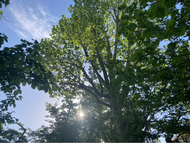 2026.4/19 GONGと自分を届ける