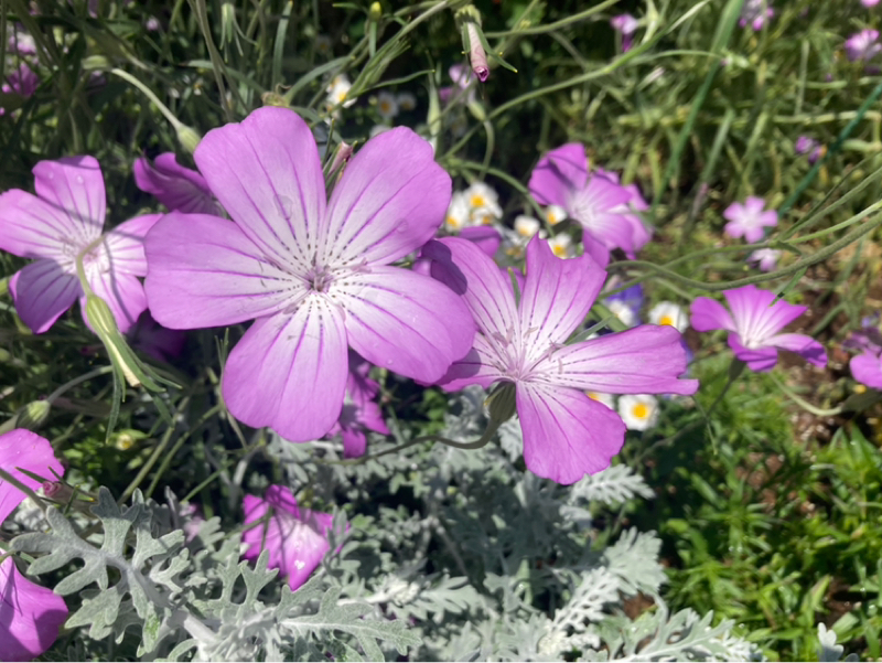 2026.4/21 小さな頃の好きにある才能