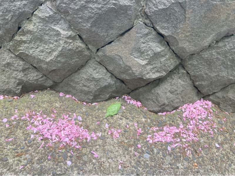 2026.4/22 多面的思考と創造性