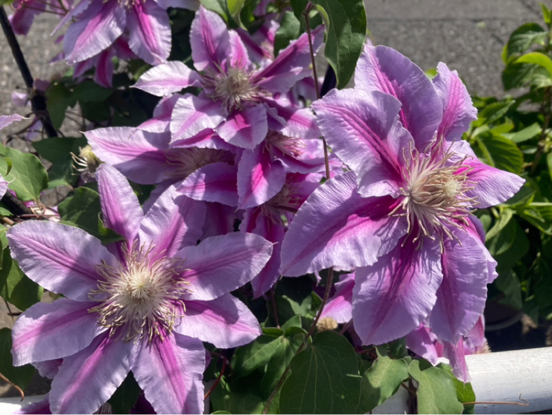 2026.4/23 引き寄せのおさらい