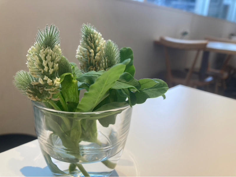 2026.4/24 すべてがあると認識する