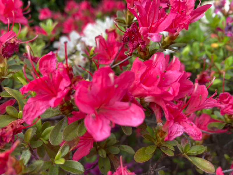 2026.4/25 軽やかに進むには