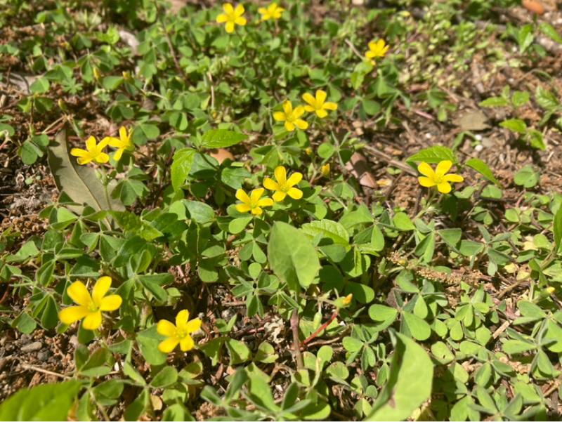 2026.4/26 チャンネルの移動を固める