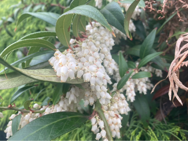 2026.4/29 違和感は瞬間に対応