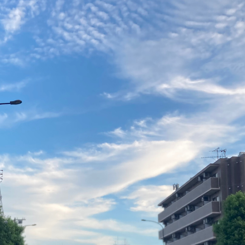2026.7/11 好きなことやればいい