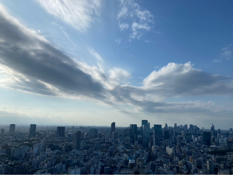 2026.8/11 チームづくり