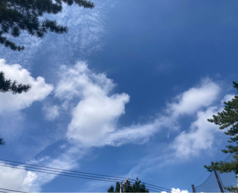 2026.9/4 願いは動機