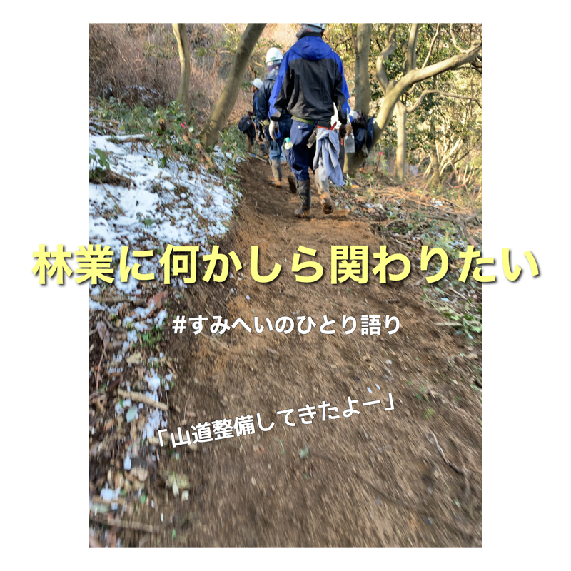 24.林業に何かしら関わりたい。