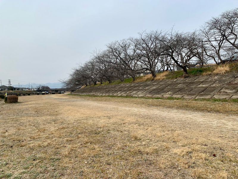 356.3/5 河川敷でコーヒー