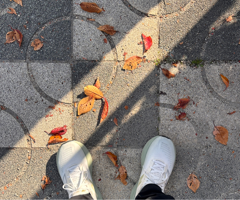 1061.11/25 ナポリタン２束