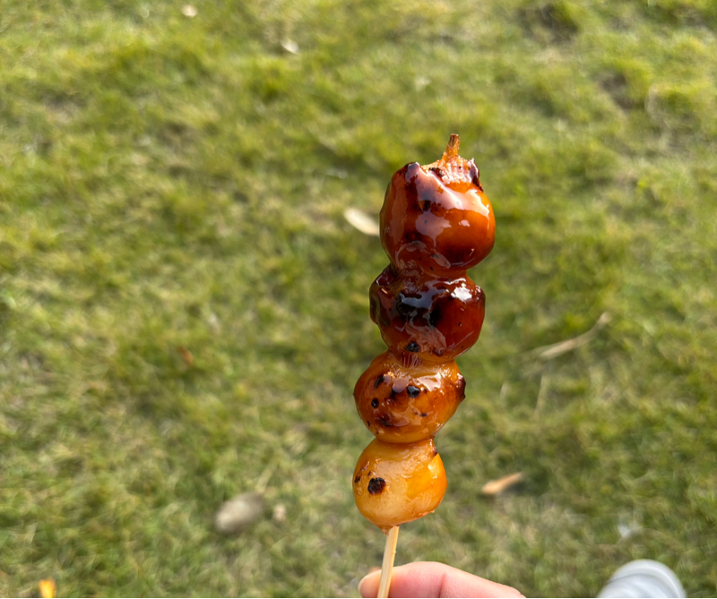 1063.11/26 “旅は移動”だね