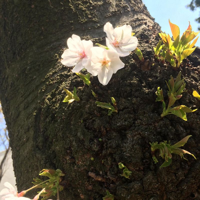 第1回!!!!自己紹介〜