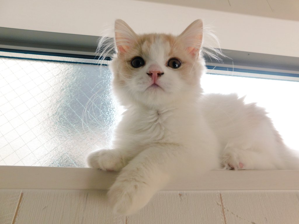 VihtaOnlineカウンセリングルーム