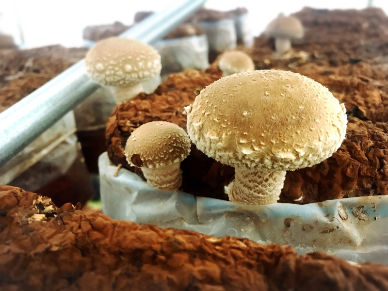 #3 ロンリー奮闘中！！！