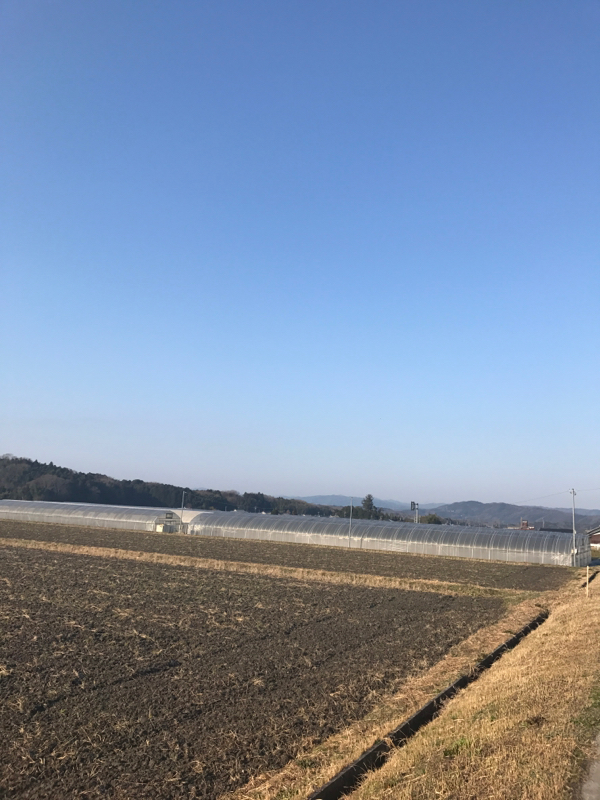 #7 方言が面白いと感じるここ最近