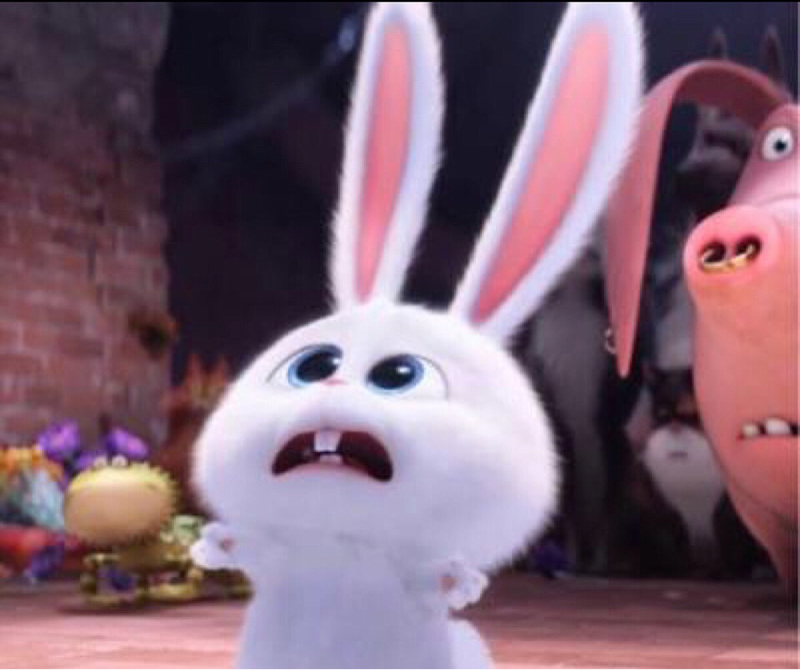 こじらせレディ