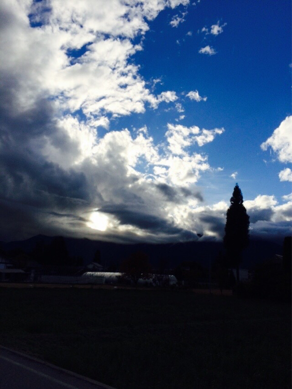 好きって止められない