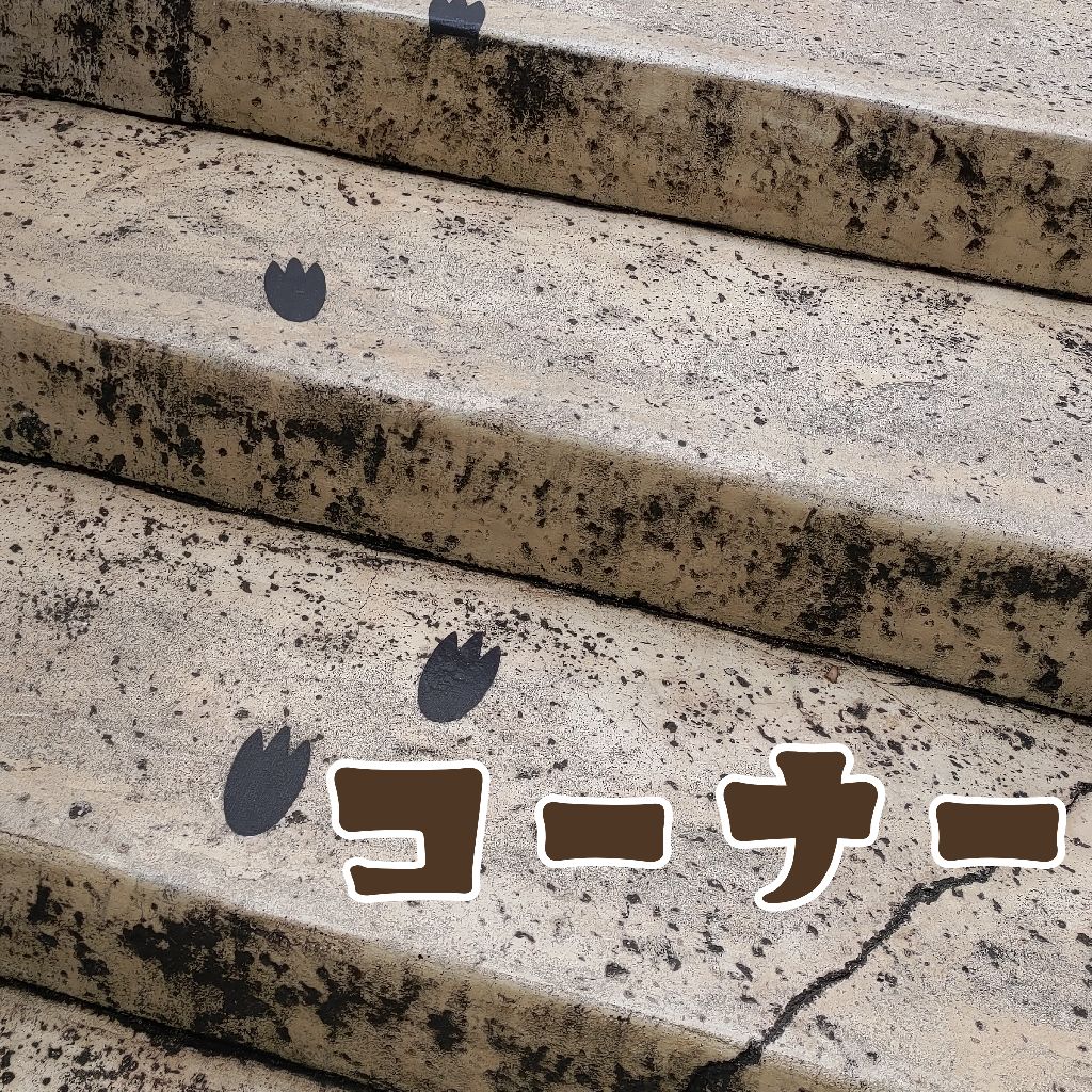 298【コーナー】耳からでも縁が出来たDON！