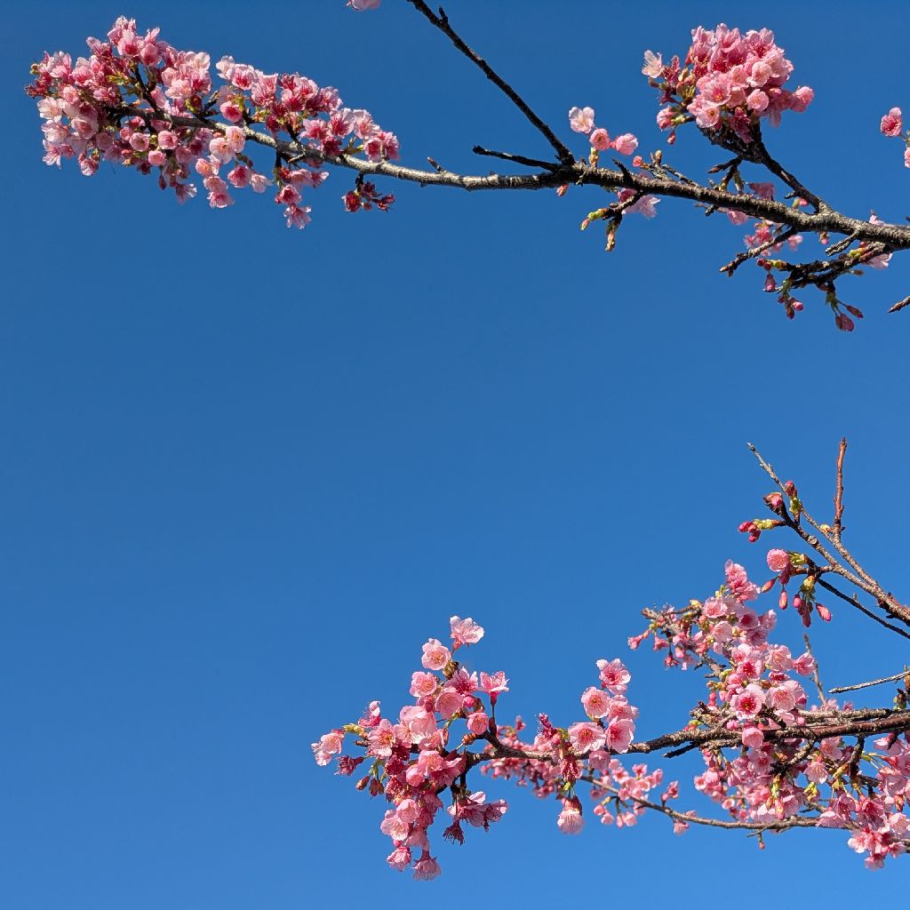 2026/02/13【３分間トーク】散策っていいね。