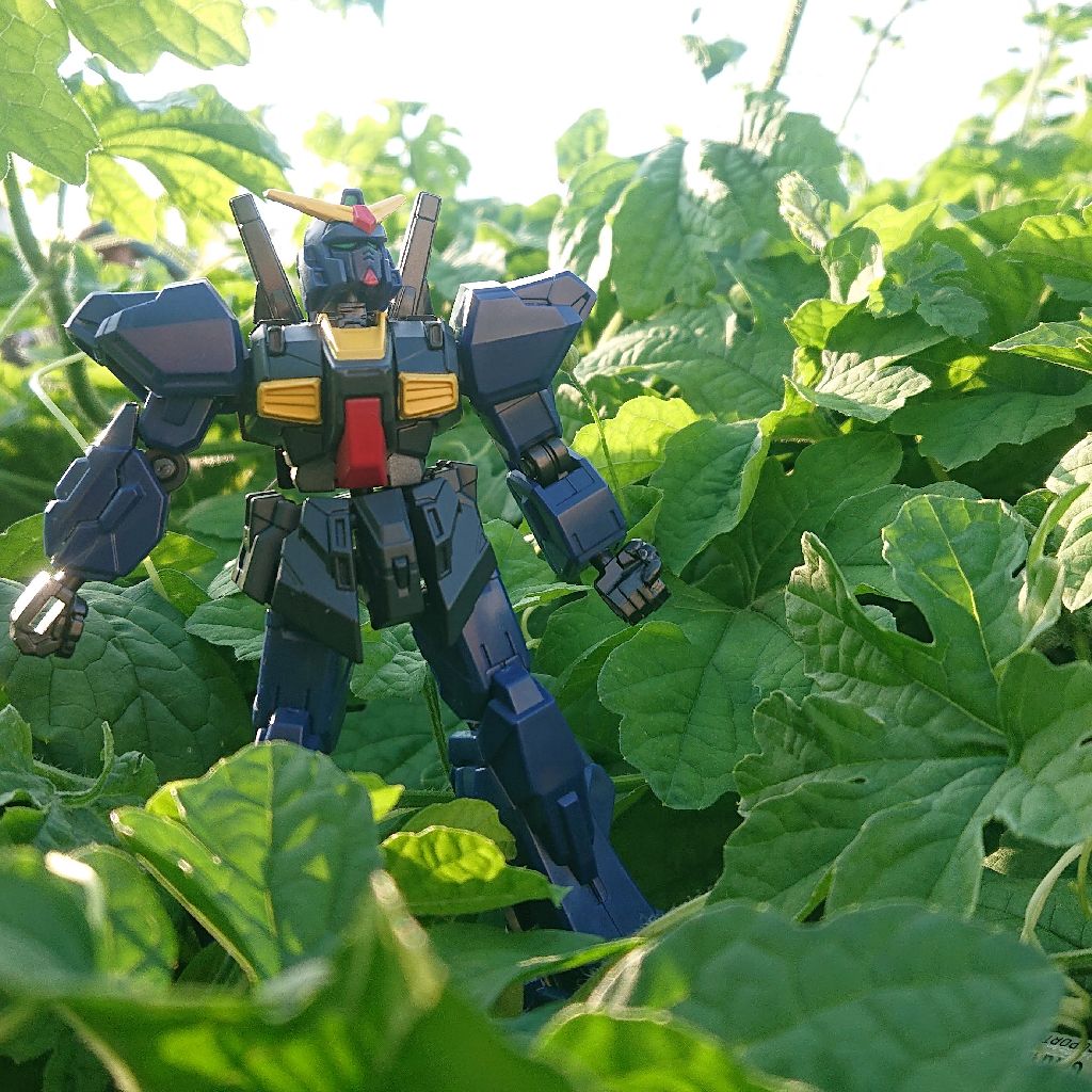 2026/03/03【朝枠あふたーとーく】大和田伸也さんのぬい活姿、かわいい。