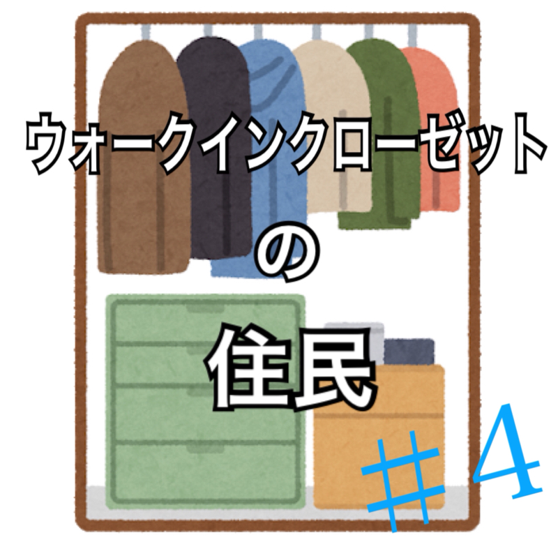 4.ウォークインクローゼットの中からお送りしています