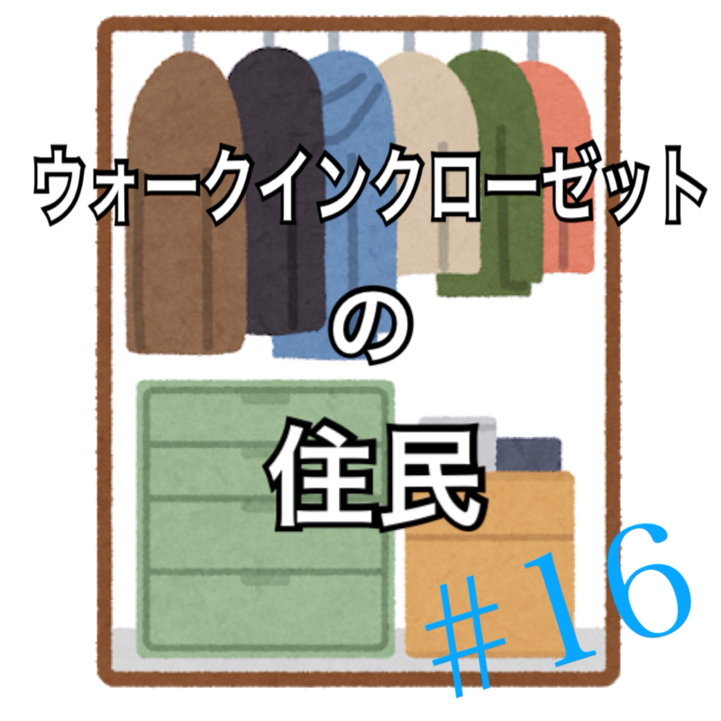 16.暇さえあればゲーム実況を見る日々