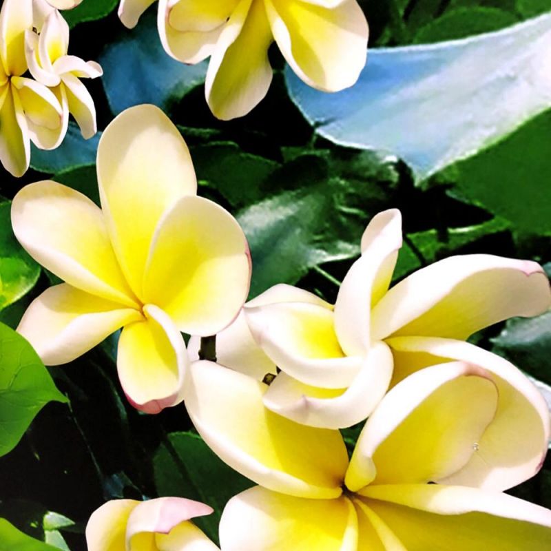 はじめてのラジオ