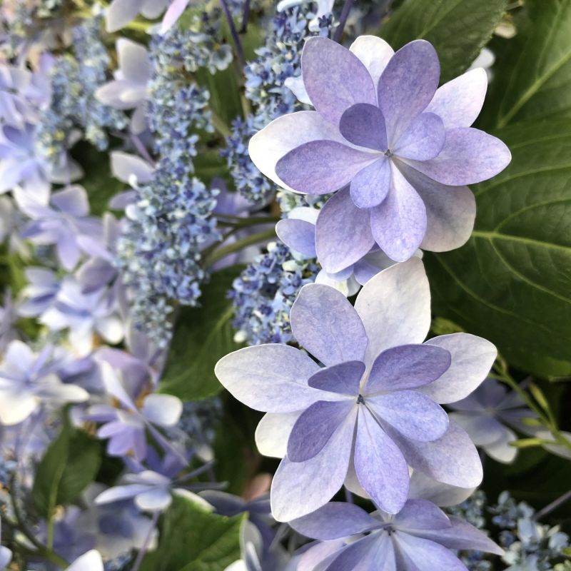 #14 アップデート2