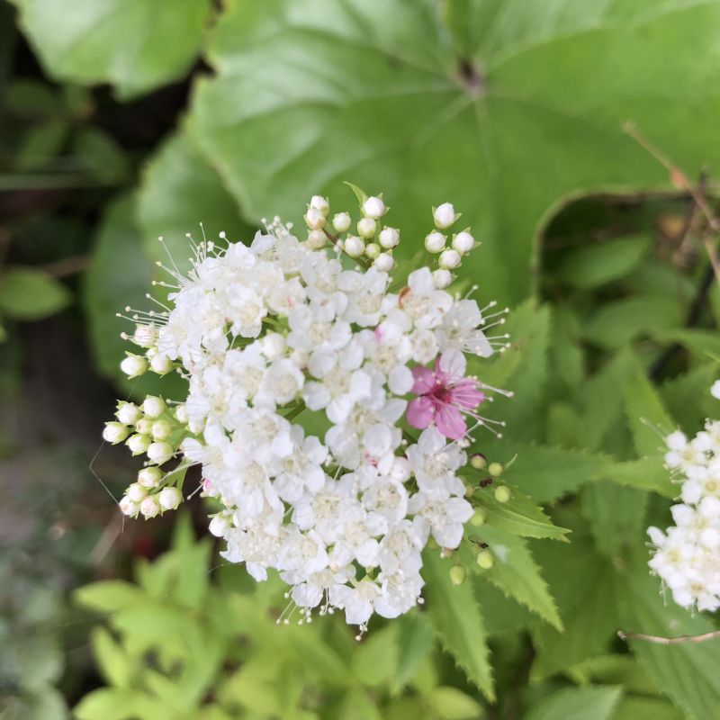 #15 アップデート ３