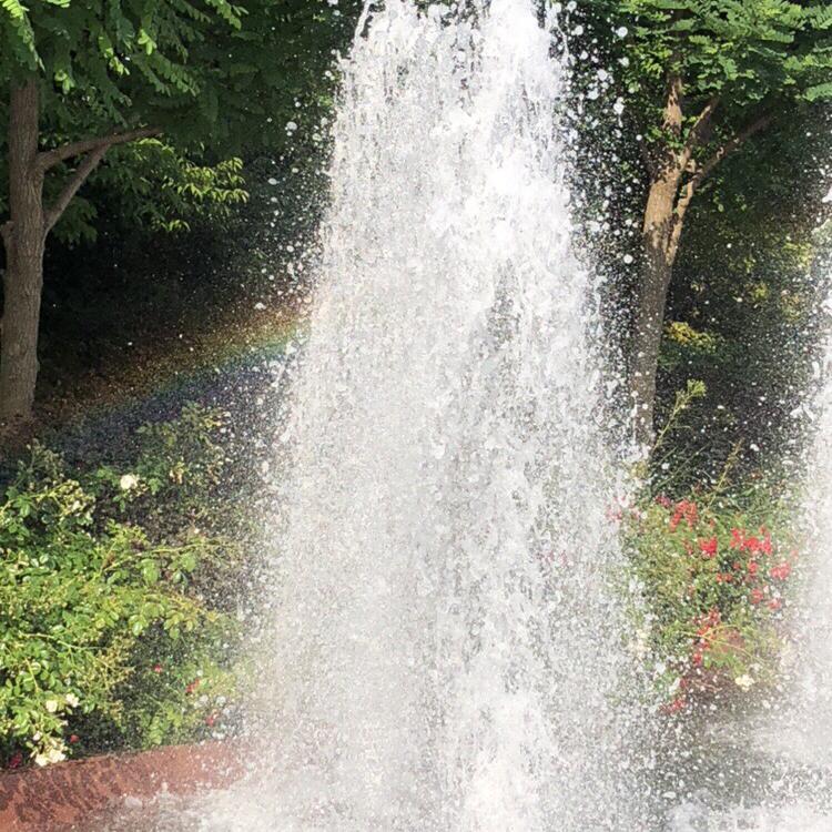 #23 夏至にむけて