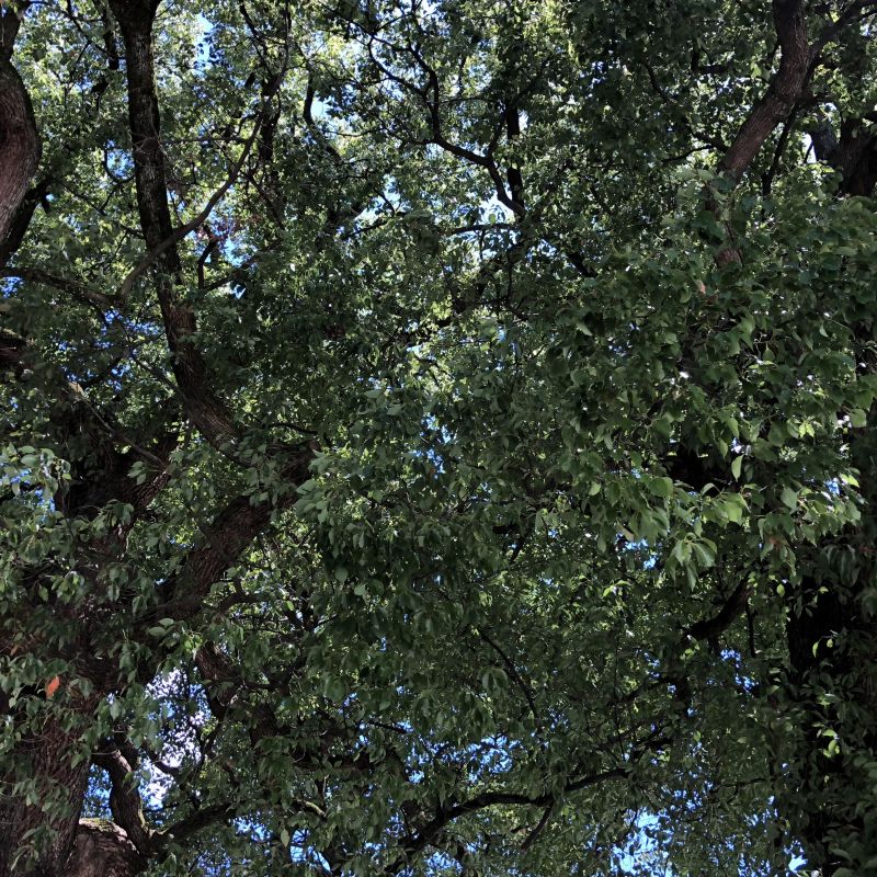 #37お茶会つづき