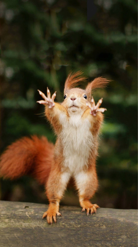 7、朝起きれる時と起きれない時の違い/使えるファッションを豪華に/霊感のある人に会いたい