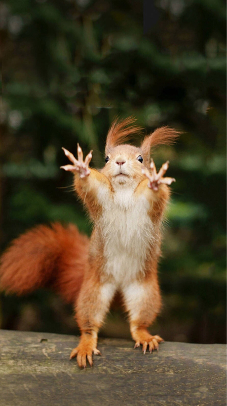 12、初めてにカウンセリングに行ってみた。