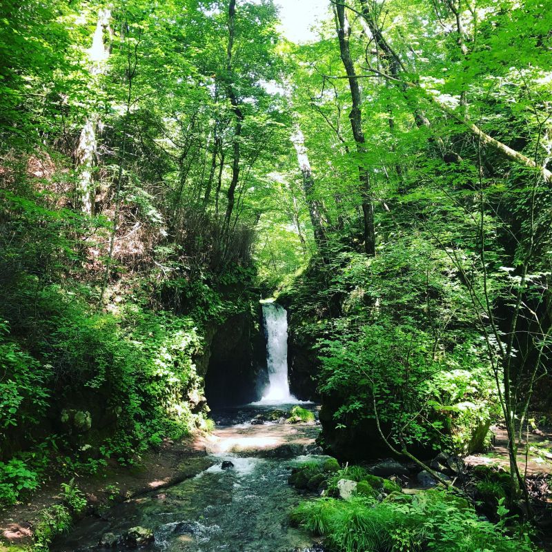 どうもるりこです。