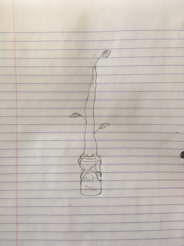 1話目 ウェットティッシュ