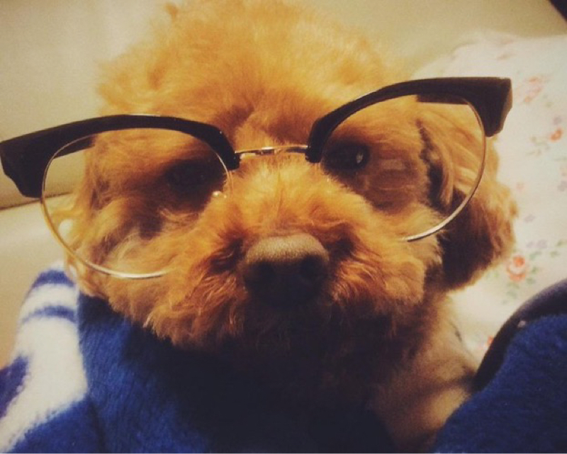 いちげんめ。「ぼくのしあわせのしょうたいをみっけたよ」