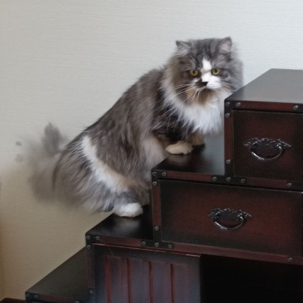 番組丸6周年と年取りました。