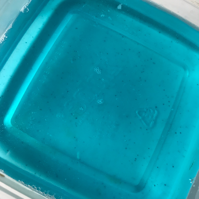 何故くまちゃんなのか