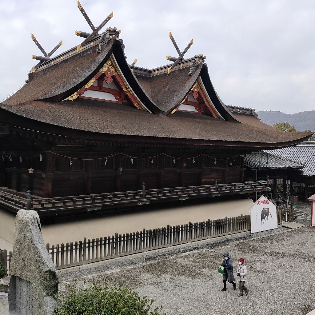 tiktokでバスる？新型コロナワクチン薬害対策