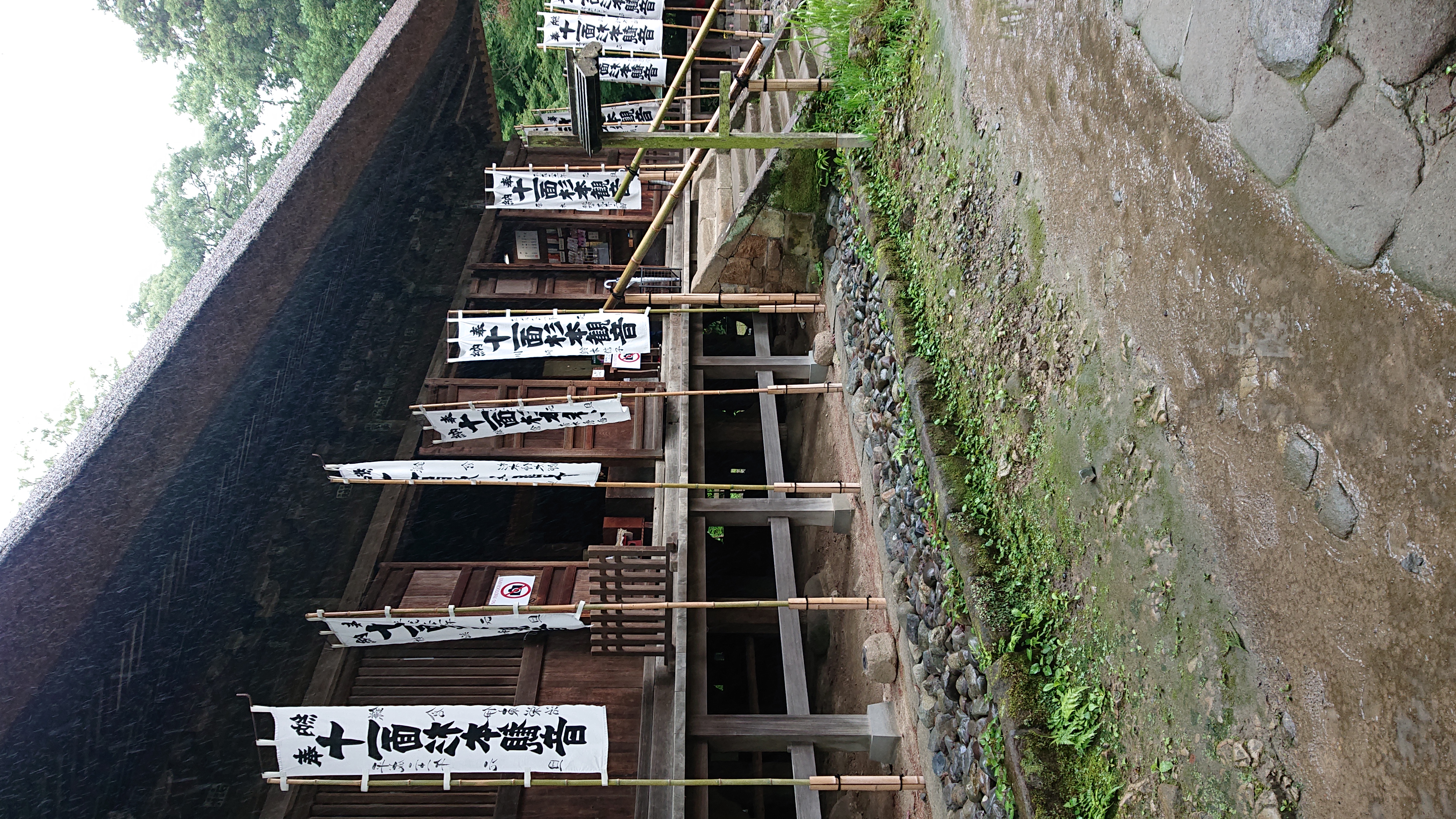 これからの活動について