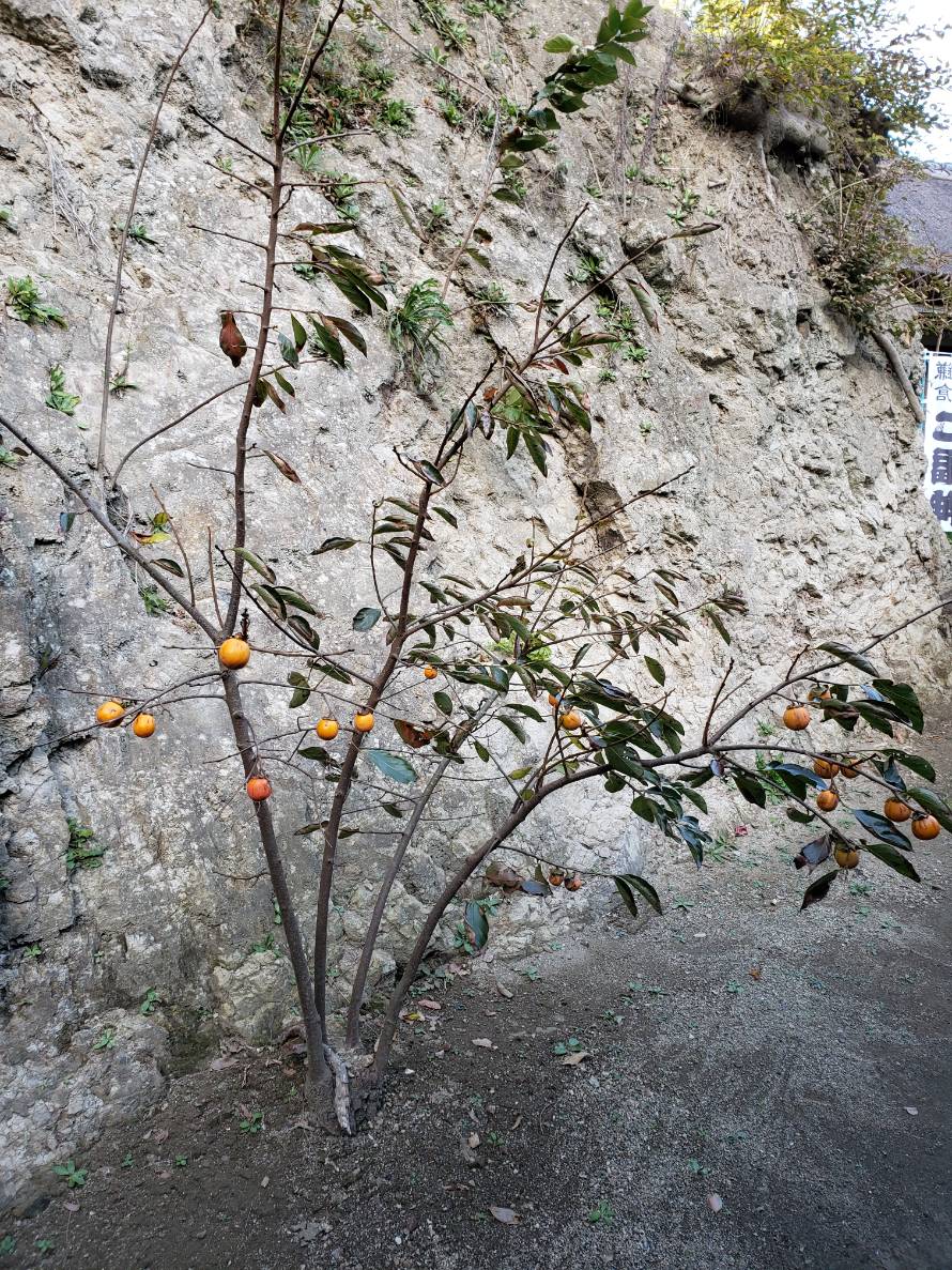 アチケン&ひろたんの雑談