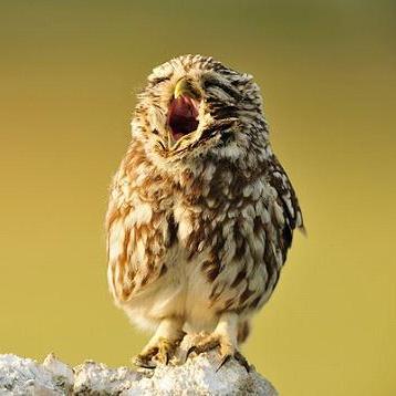 @1 10月のスペシャルウィークのはなし