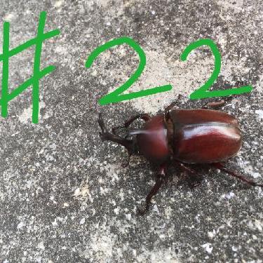 第22回！！「多機能トイレ」が「滝のおトイレ」に聞こえる