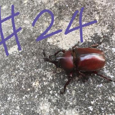 第24回！！りくちゃん旅行記「香川に行った話」