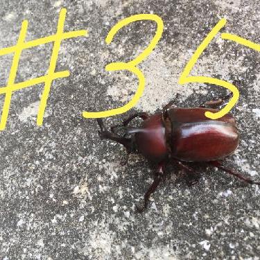 第35回！！またもやお便り、珍回答