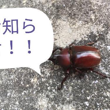 お知らせ回！！