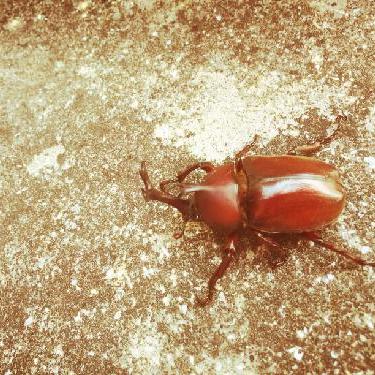 りくちゃんの朗読会「人生の一本道」