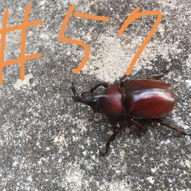 第57！！相談お返し！　18歳年下の女の子？