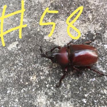 第58回！！ジブリの立体建造物展！レポ！